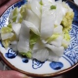 酢っきり！　白菜の甘酢漬け